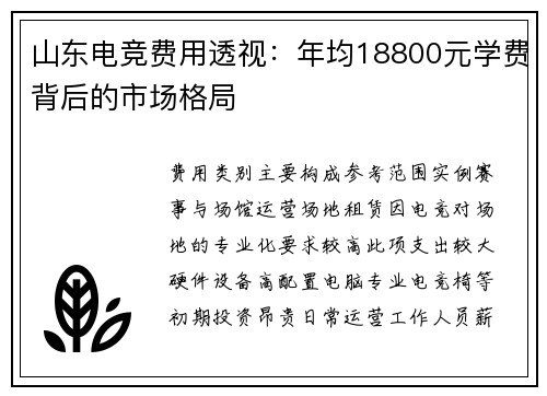 山东电竞费用透视：年均18800元学费背后的市场格局